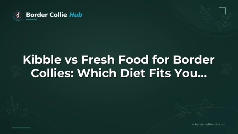 Kibble vs Fresh Food for Border Collies: Which Diet Fits Your Dog Best?