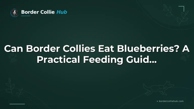 Can Border Collies Eat Blueberries? A Practical Feeding Guide for Owners