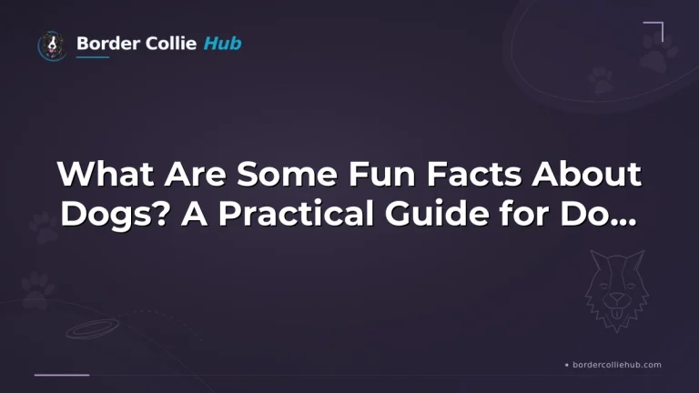 What Are Some Fun Facts About Dogs? A Practical Guide for Dog Lovers