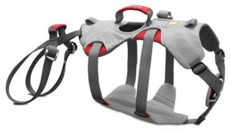 Ruffwear Doubleback Harness Review: Is It Worth Buying?